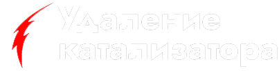 Удалить катализатор в Нижнем Новгороде выгодно и с гарантией 2 года